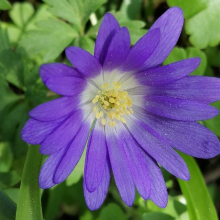 Εικόνα προφίλ του/της ΣΤΑΥΡΟΥΛΑ ΚΟΥΡΟΥ