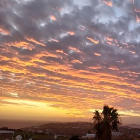 Εικόνα προφίλ του/της Ελενη Παπουτση